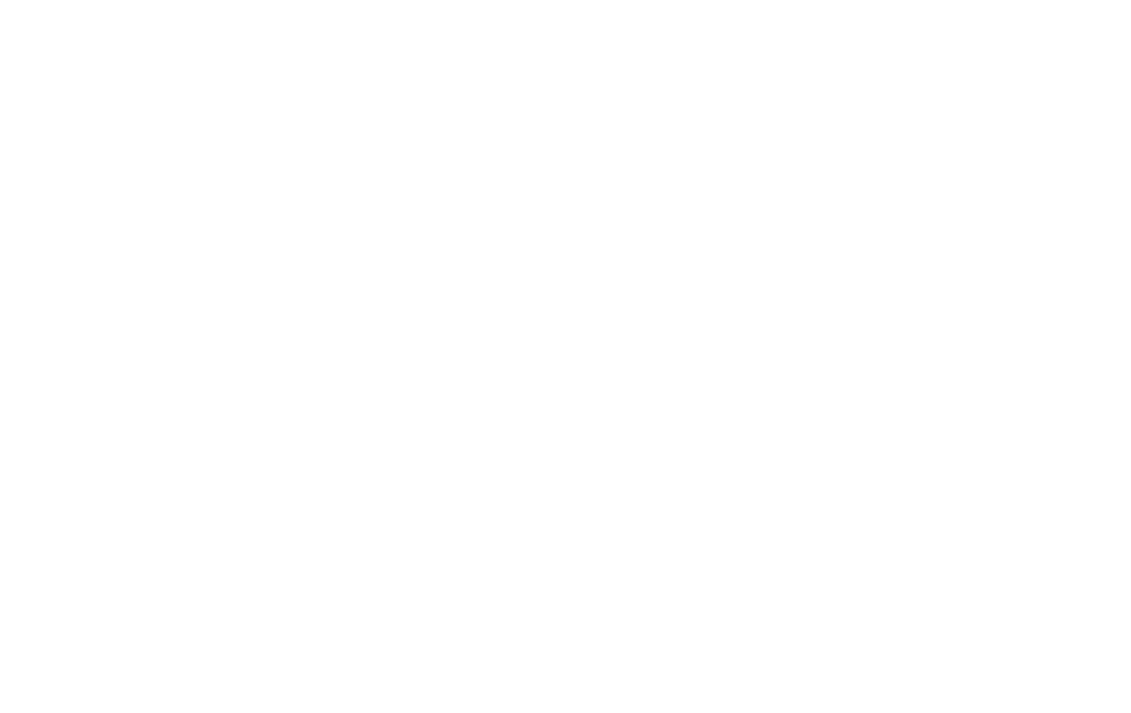 The King Of Tacos